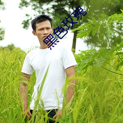 黑(hi)色玫(méi)瑰