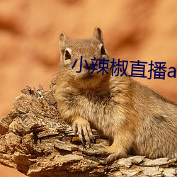 小辣椒直播app 全文）