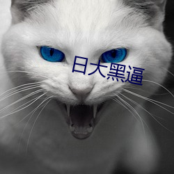 日大黑(h¨¥i)逼