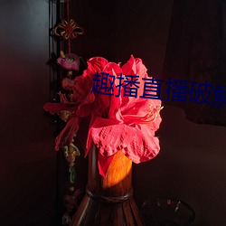 趣播直播(播)破解版(版)
