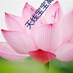 ca88手机客户端(安卓/苹果)CA88会员登录入口