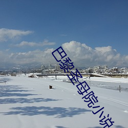 巴黎圣母院小说
