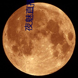 夜(夜)魅直播(播)