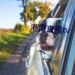 港湾直播tv