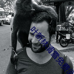 叶新林清雪免费阅读 ��骈肩叠迹）