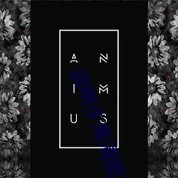 vwinӮ(й) - ٷվ