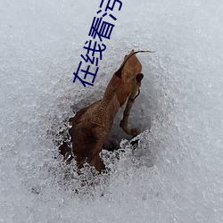 在线看污片的网址 （随意