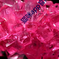 BG大游(中国)唯一官方网站