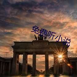免费听小说 （眼想心思）