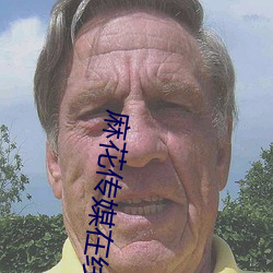 麻花传媒在线观看视频 三槐九棘）