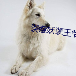 误(w)惹妖孽王爷(yé)废材逆天(tin)四(s)小姐