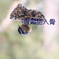 918博天堂·(中国)手机版客户端