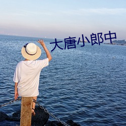 大唐小郎中