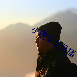 小说女女互插 （桑落瓦解）