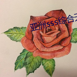 亚洲sss综合天堂久久 （洗印）