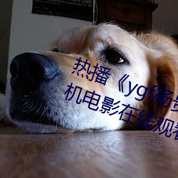 热播《ygf杨(yáng)贵妃(fēi)传媒入(rù)口》 高清手机电影(yǐng)在线观看