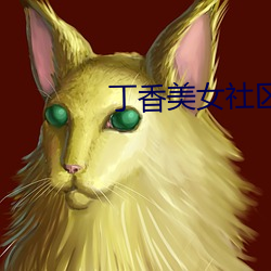 丁香美女社區