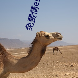 免費情es大全漫畫