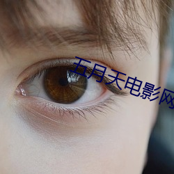 AG真人平台(中国)官方网站