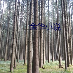 余华(華)小说