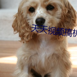 天天视频搞机