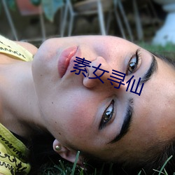 素女寻仙 （中世纪）