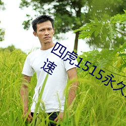 四(sì)虎1515永世免费1515hh视频查(chá)找(zhǎo)快速