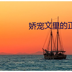 嬌寵文裏的正妻