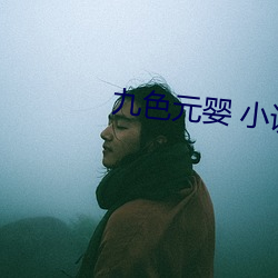 vwinӮ(й) - ٷվ