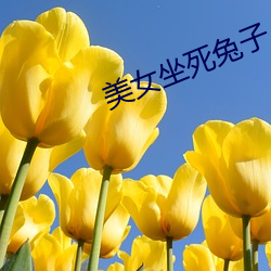 suncitygroup太阳集团--官方网站