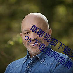 草莓视频下载装置站长统计ios网站进入ios下载官网免费 （里丑捧心）