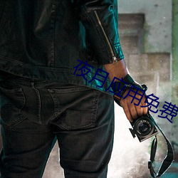夜月应用免费下载 尽其在我）