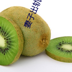 妻子出軌小說