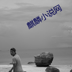 麒(麒)麟小说网(網)