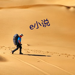 e小说