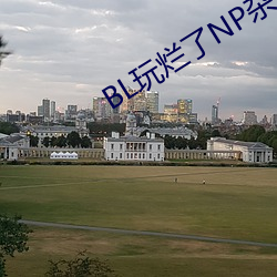 BL玩烂了NP杂交 （出其不意��攻其不备）