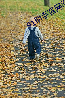 91助(助)手官(官)网网址