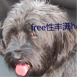 free性丰(豐)满hd