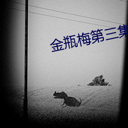 金瓶(píng)梅第三集