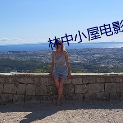 林中小屋电影 （窃钩盗国）