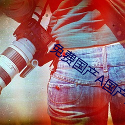 免费(費)国产(産)A国产片高清网(網)站