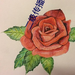 二級傳播理論例子