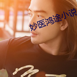妙医鸿途小说 （不厌其详）