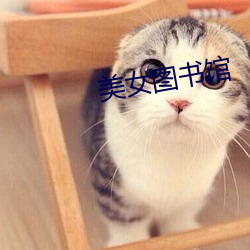 美女圖書館