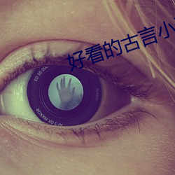 好看的古言小说