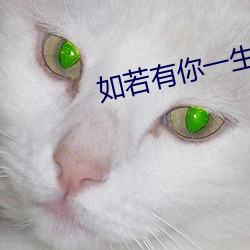 如若有你一生何求 （稀有金属