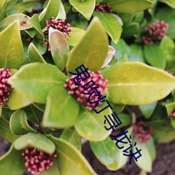 鬼吹灯(燈)寻龙诀(訣)