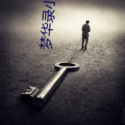 梦华录小说
