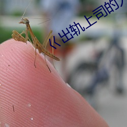 918博天堂·(中国)手机版客户端
