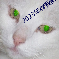 2023年伴我熊(熊)芯(芯)免费观看